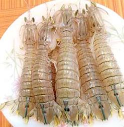 BỀ BỀ